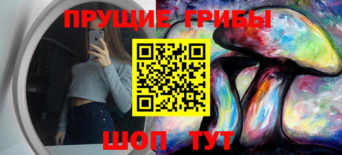 Бирск  Псилоцибиновые грибы Cubensis  Вход с VPN 